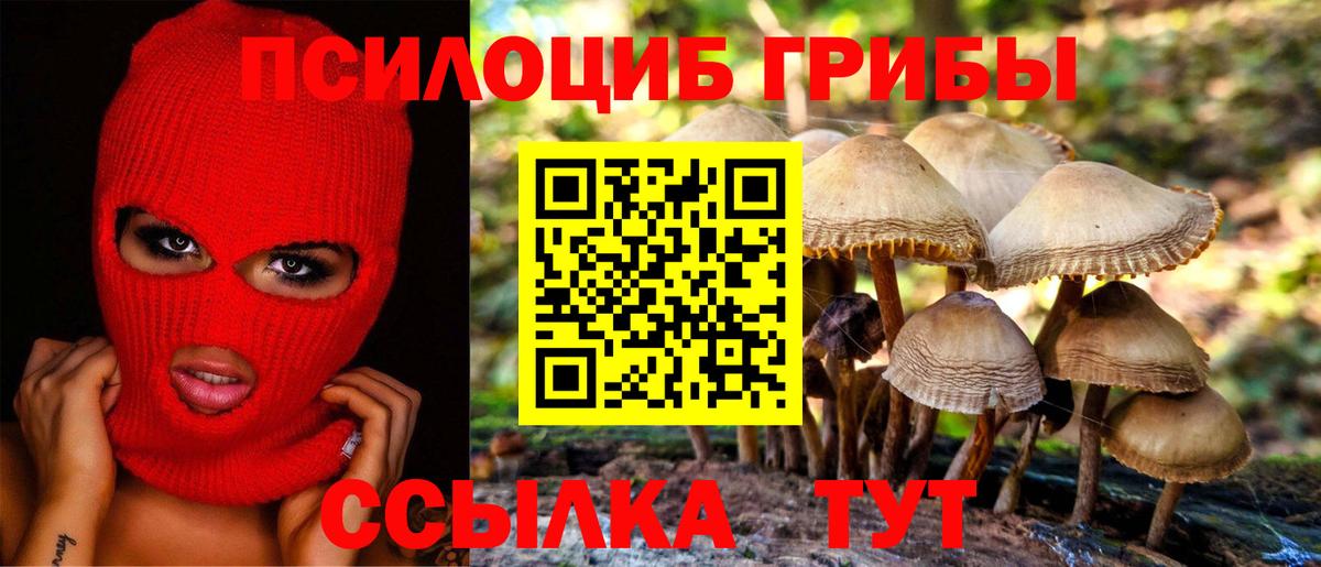 купить наркотик  Вход с VPN  Семилуки  Галлюциногенные грибы MAGIC MUSHROOMS 